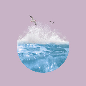 草印度大黑逼图
